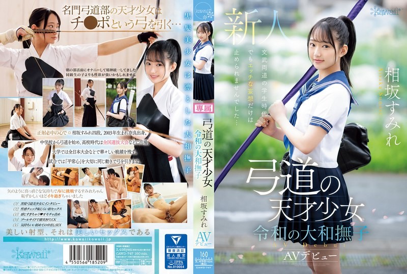 欧美日韩精品一区二区三区视频